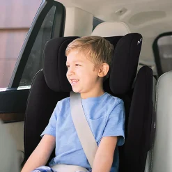 AACE Booster Seat