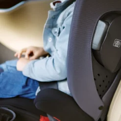 AACE Booster Seat