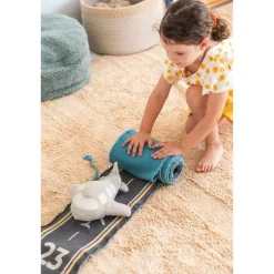 Airplane Ride & Roll Soft Toy