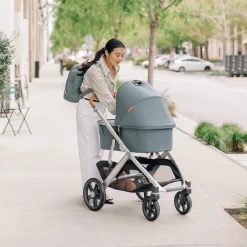 All-Terrain Vista V3 Stroller
