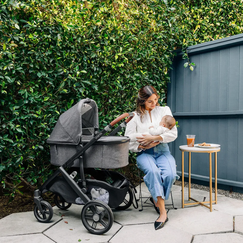 All-Terrain Vista V3 Stroller