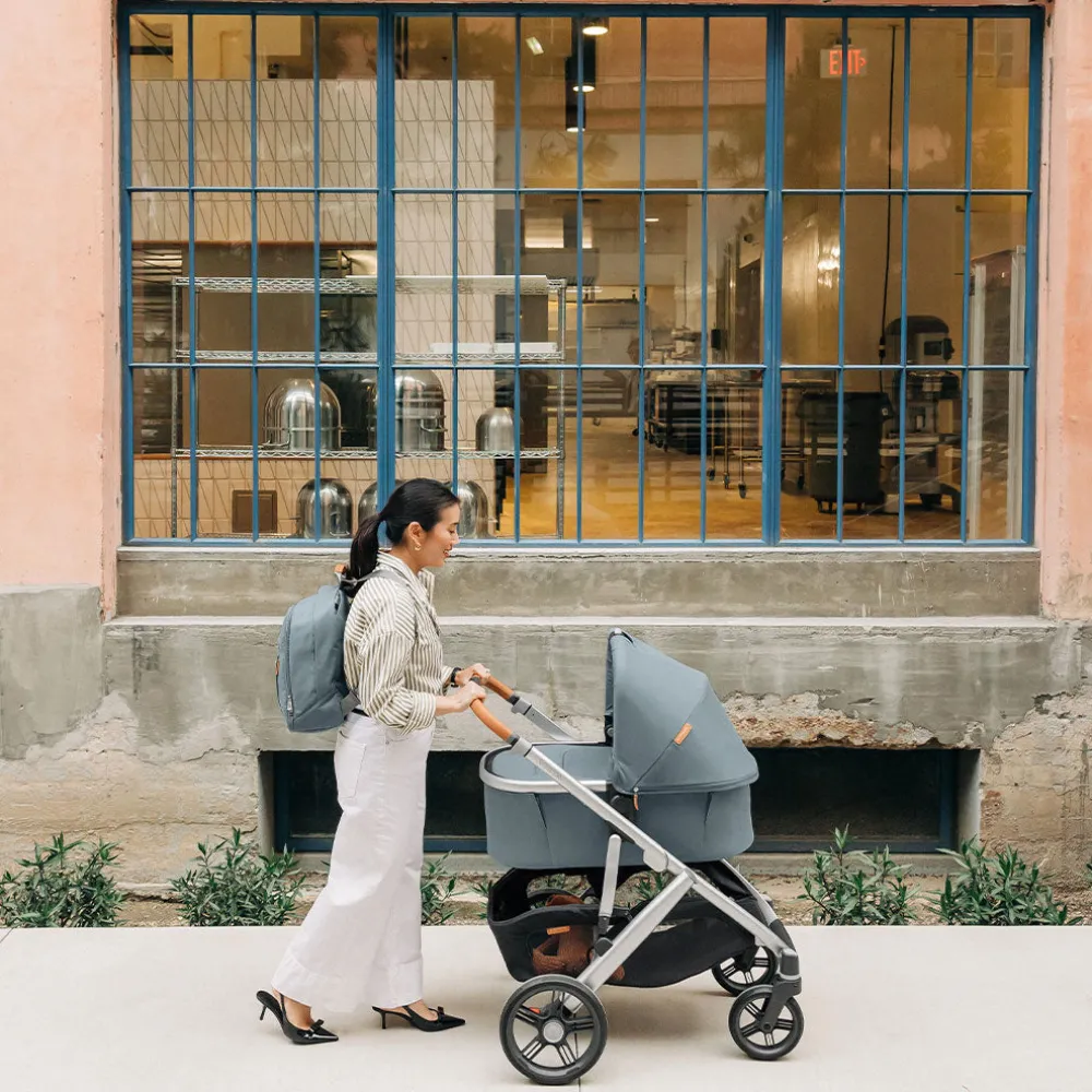 All-Terrain Vista V3 Stroller