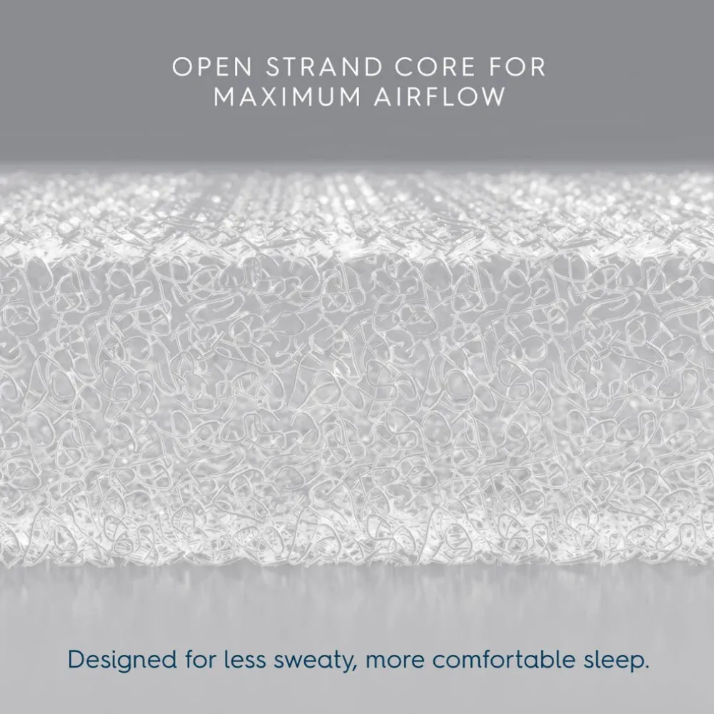 Bassinest 3.0 + FR-Free Mattress Bundle