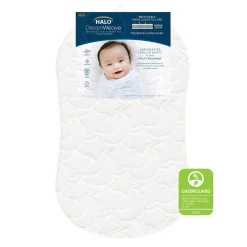 Bassinest 3.0 Soothe + FR-Free Mattress Bundle