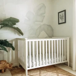 Bird Paradise Mural