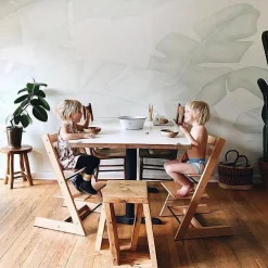 Bird Paradise Mural