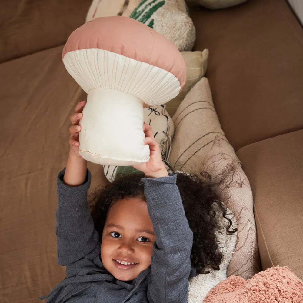 Boletus Cushion
