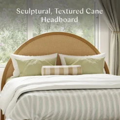 Bondi Cane Full Bed