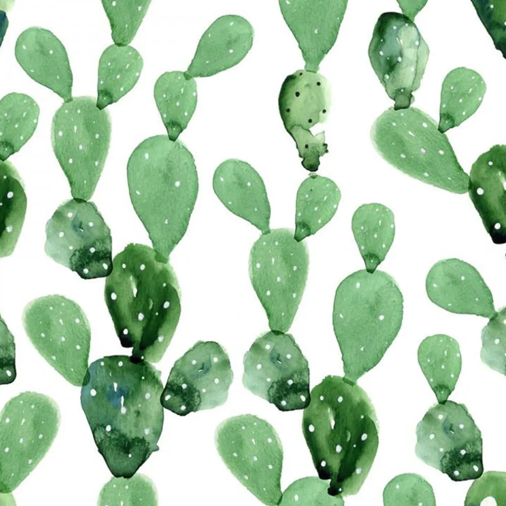 Cactus Mural