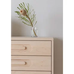 Caravan Dresser