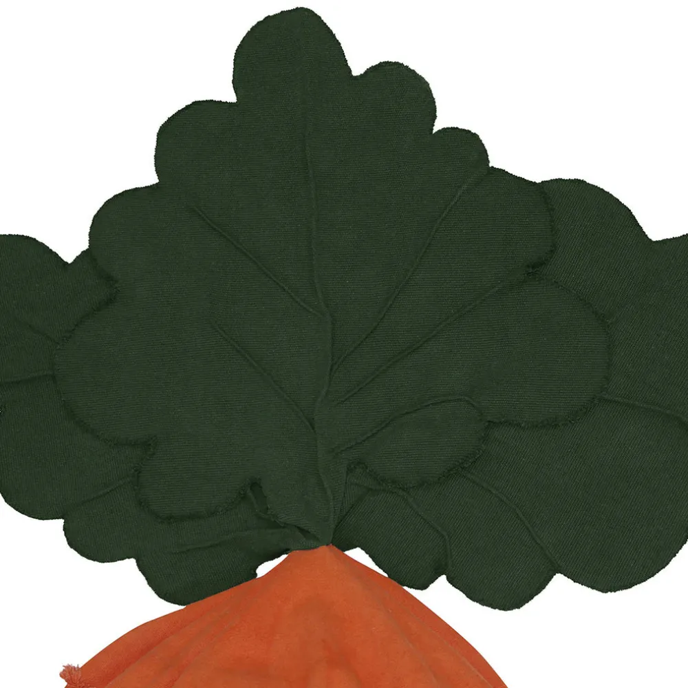 Cathy The Carrot Bean Bag