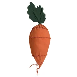 Cathy The Carrot Bean Bag