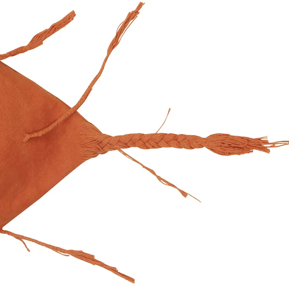 Cathy The Carrot Bean Bag