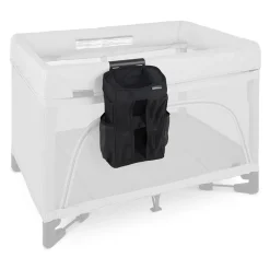 Changing Station Organizer for REMI