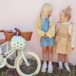Classic Bicycle