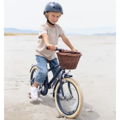 Classic Bicycle