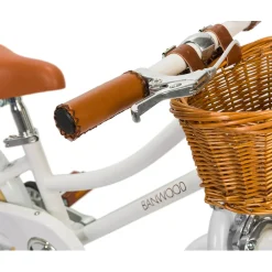 Classic Bicycle