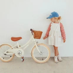 Classic Bicycle