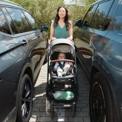 Cruz V3 Stroller