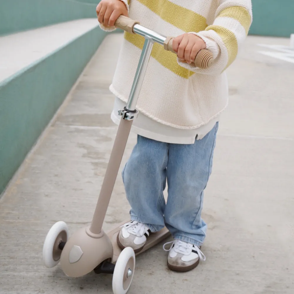 Eco Scooter