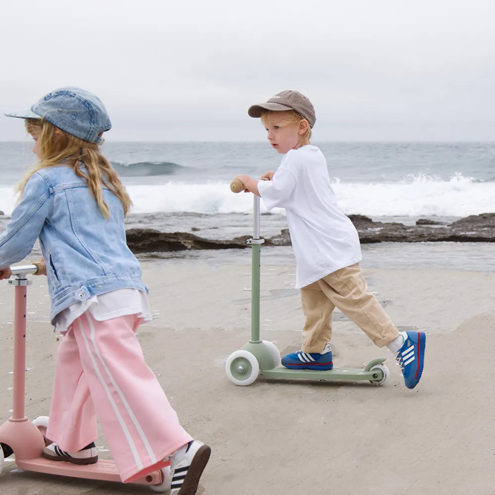 Eco Scooter