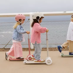 Eco Scooter