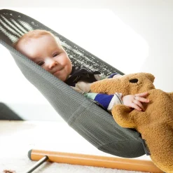 Evolux Bouncer