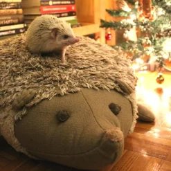 Hedgehog Floor Cushion