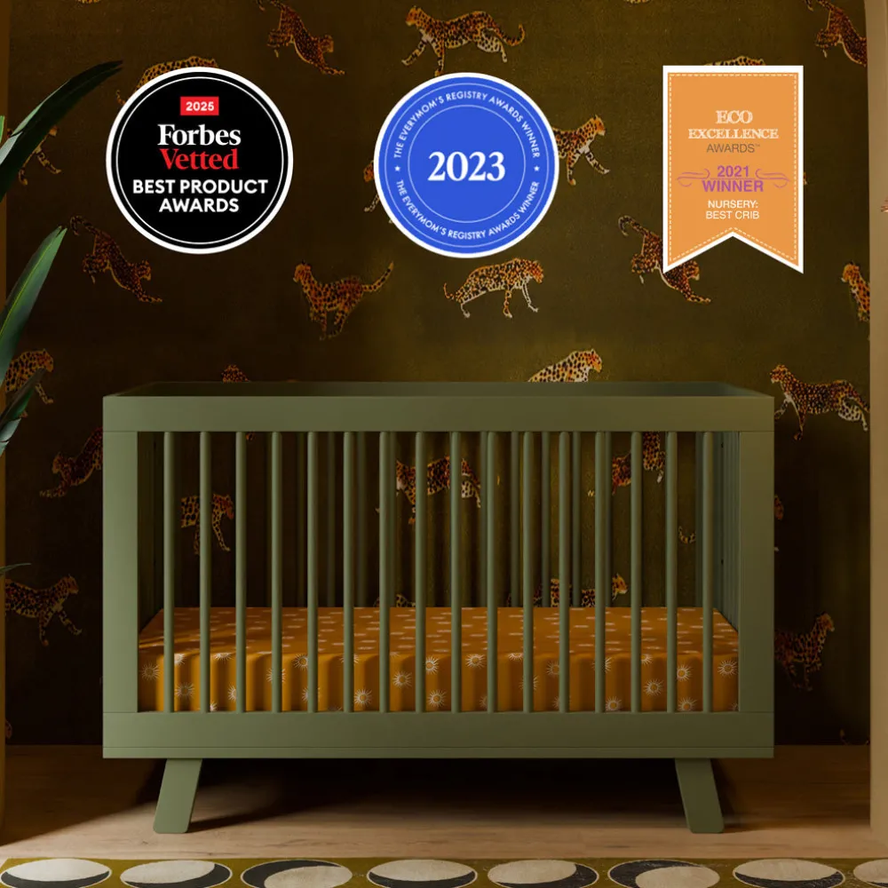 Hudson 3-in-1 Convertible Crib + Toddler Rail