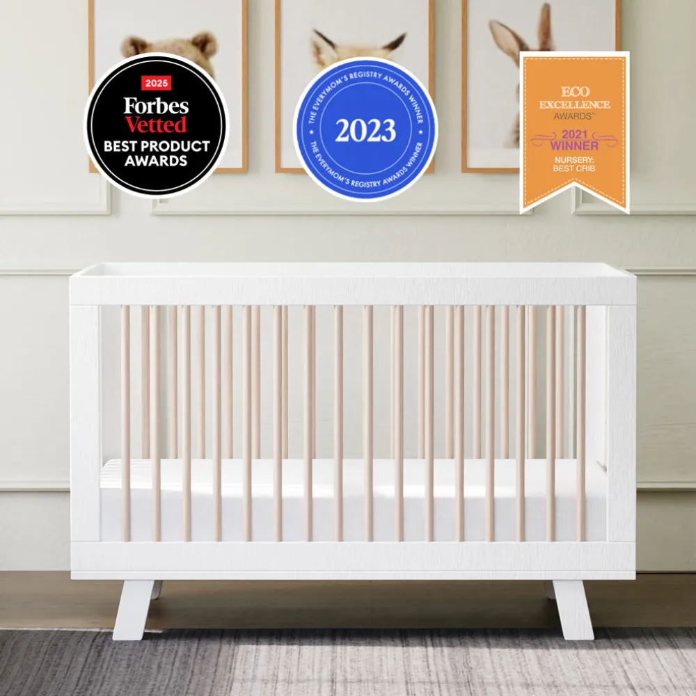 Hudson 3-in-1 Convertible Crib + Toddler Rail