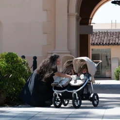 Indie Twin Stroller