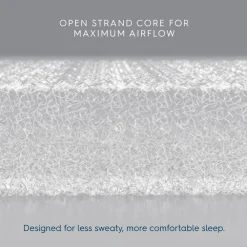 Luxe Next Gen Bassinest + FR-Free Mattress Bundle