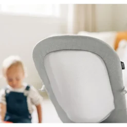 Mira 2-in-1 Bouncer & Seat