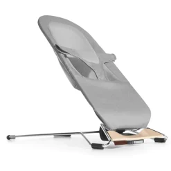 Mira 2-in-1 Bouncer & Seat
