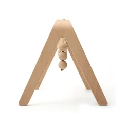 NAHO Activity Arch