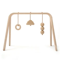NAHO Activity Arch