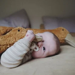 Organic Cuddly Animal