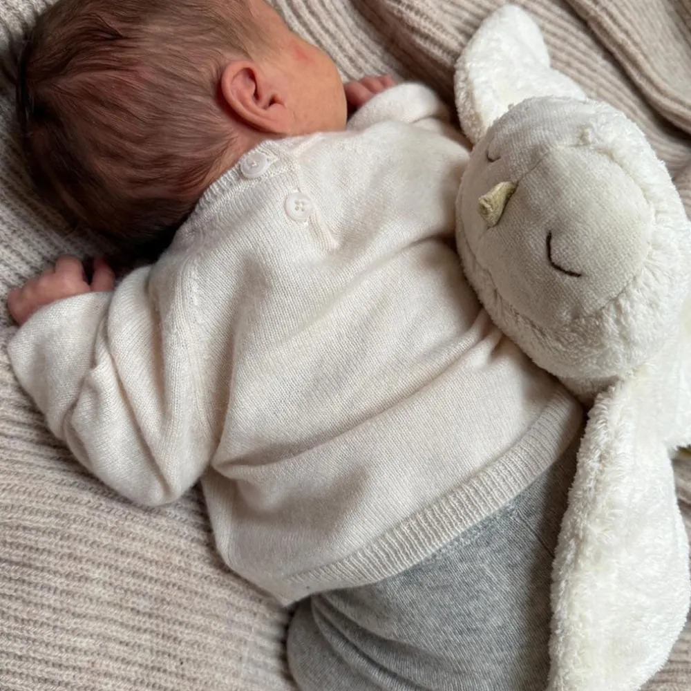Organic Cuddly Animal