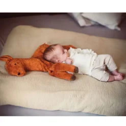 Organic Cuddly Animal
