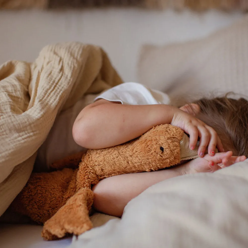 Organic Cuddly Animal