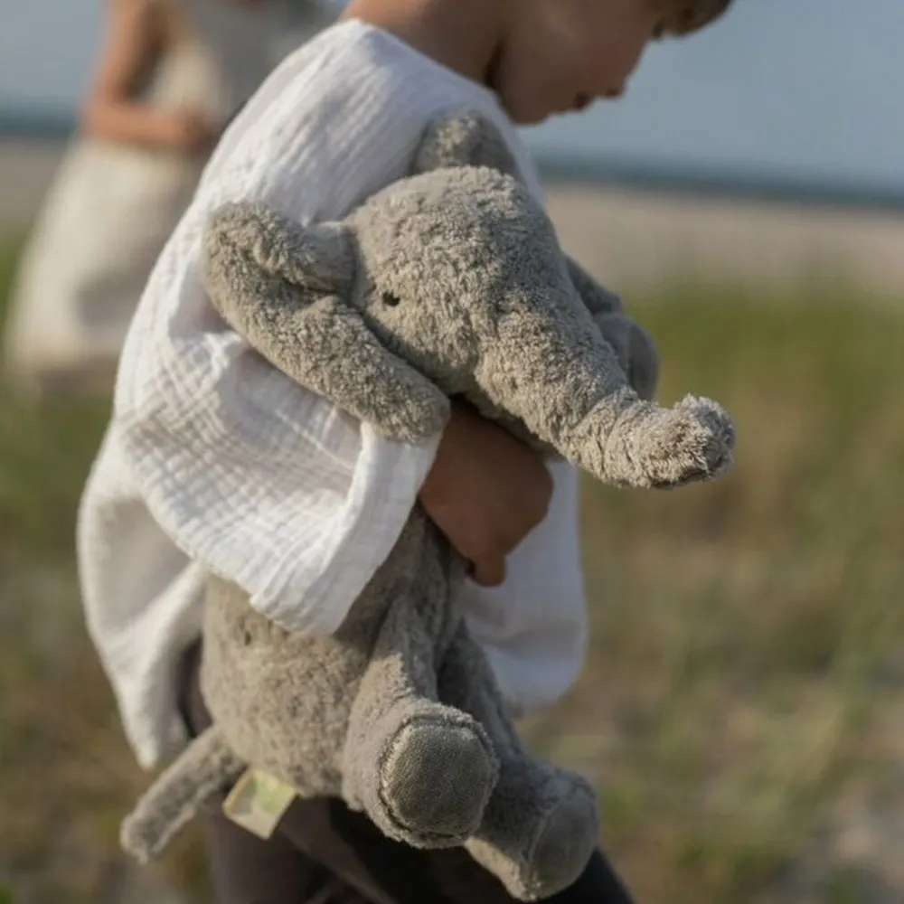 Organic Cuddly Animal
