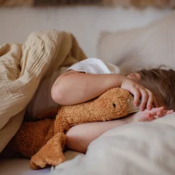 Organic Goose Cuddly Animal