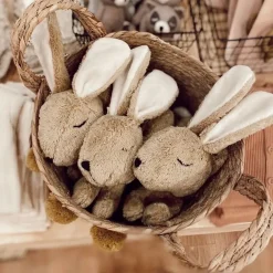 Organic Rabbit Cuddly Animal