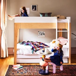 Perch Trundle Bed