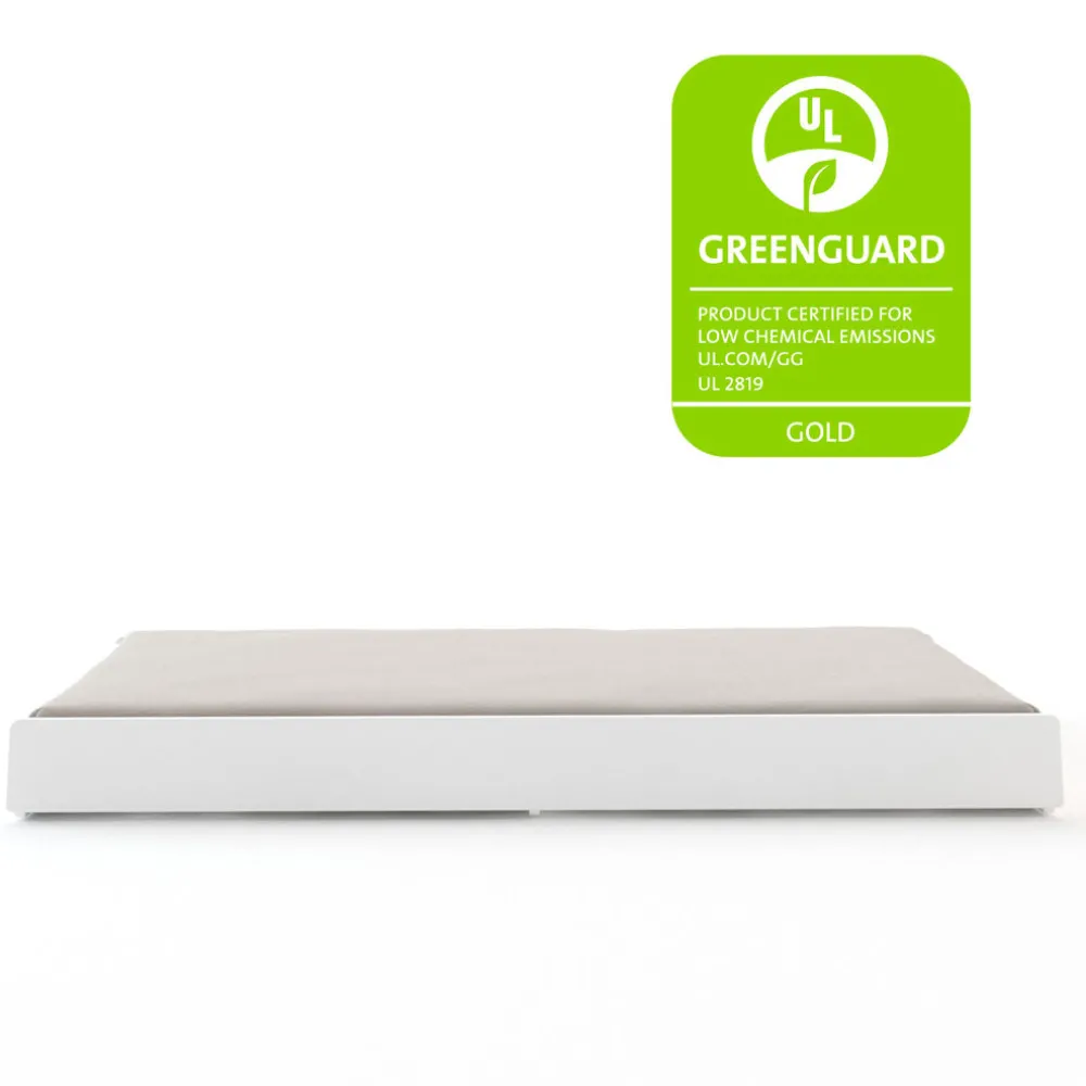 Perch Trundle Bed
