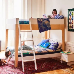 Perch Twin Bunk Bed