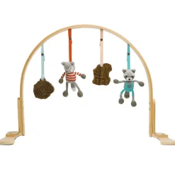 Play Gym