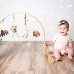 Play Gym + Macrame Swing Bundle