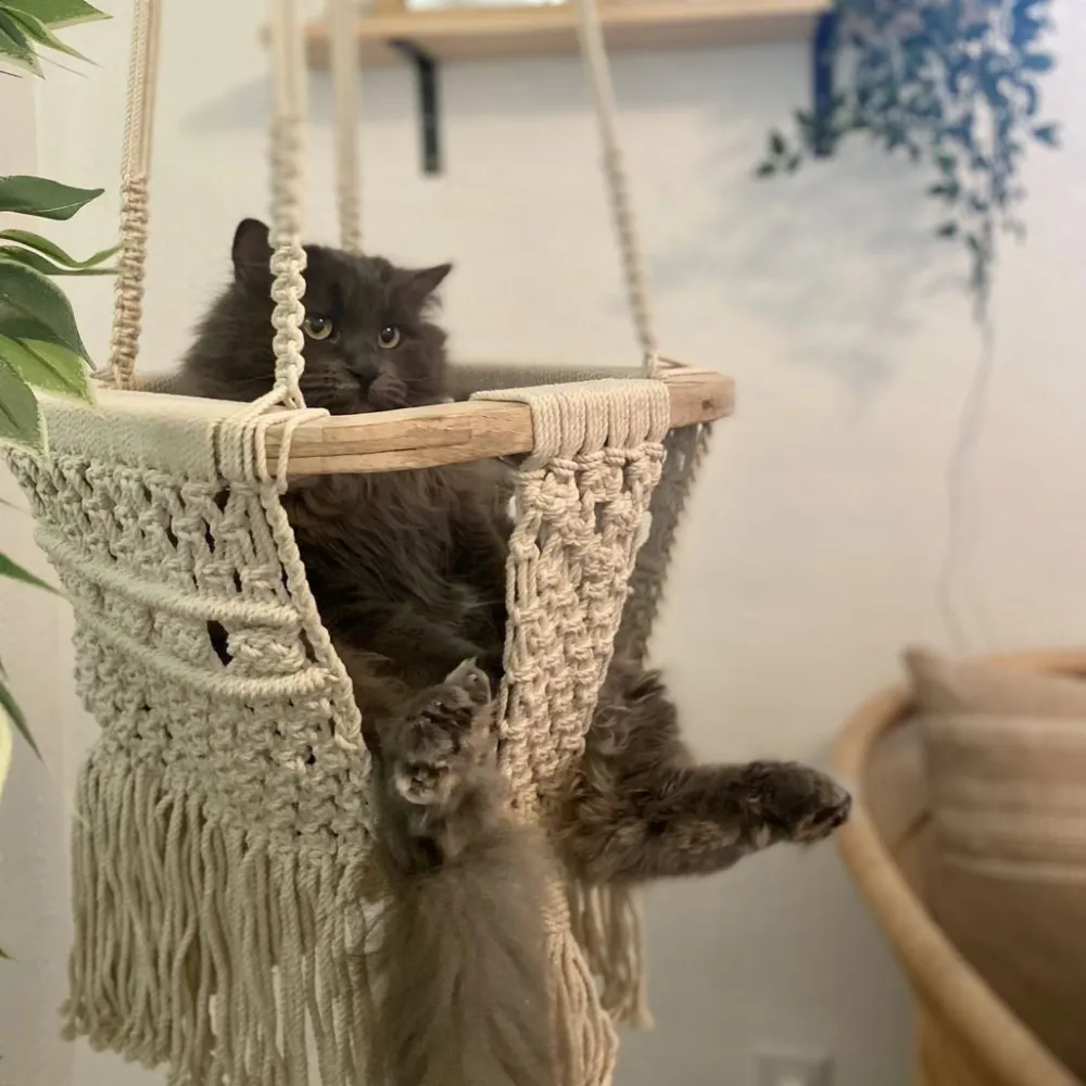 Play Gym + Macrame Swing Bundle