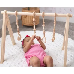 Play Gym Set